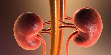 DIETA E MALATTIA RENALE CRONICA: COSA FARE