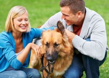 Lasciate in pace gli animali domestici