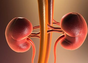 DIETA E MALATTIA RENALE CRONICA: COSA FARE