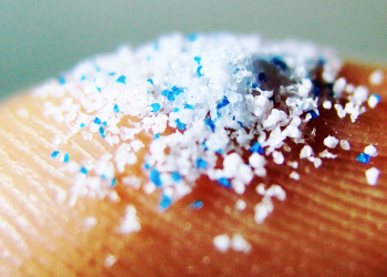 Come proteggere la salute dalla minaccia delle microplastiche